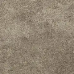 Mushroom i-Outlier D160462